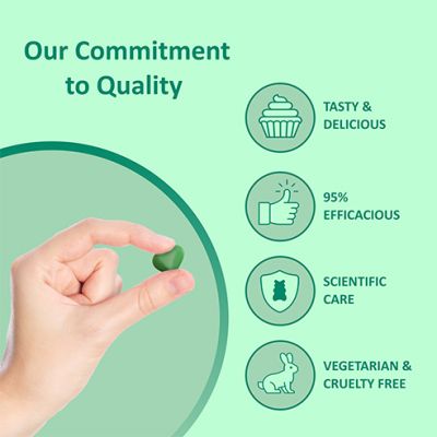 Power Gummies: Apple Cider Vinegar Gummies for Managing Weight with Green Apple Flavour-60 gummies