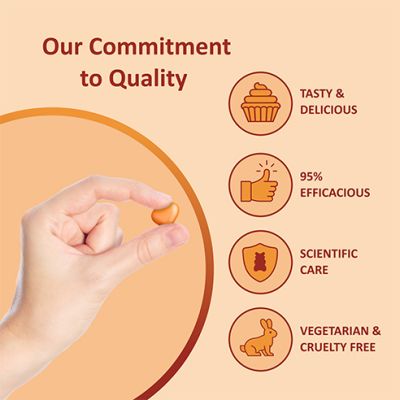 Power Gummies: Vitamin C & Zinc -Boosts Immunity Booster with Orange Flavour-30 gummies