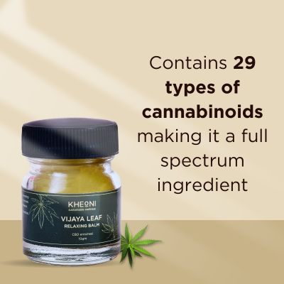 Kheoni: Vijaya Leaf Pain Relief Balm