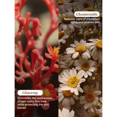 LuxaDerme: AM/PM Booster Cream 50ml