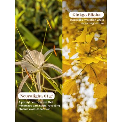 LuxaDerme: Revive & Radiate 3 Step Korean Facial Kit 25ml