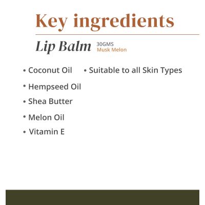 The Hemp Chapter: Lip Balm || Musk Melon - 230gm