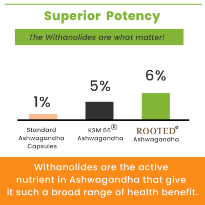 Rooted Active Naturals: Ashwagandha root extract (5% withanolides, 60 Caps, 500 mg) ,enhanced with Reishi Mushrooms | Supports Stress, Anxiety Relief, Energy & Immunity