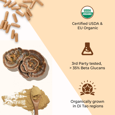Rooted Active Naturals: USDA Organic Turkey Tail Mushroom Extract (90 Veg Caps, 500 mg), &gt; 35% Beta Glucans