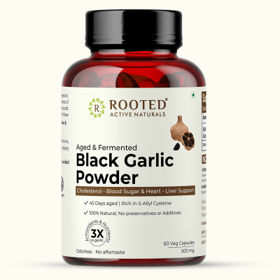 Rooted Active Naturals: Lions Mane mushroom Extract  ( 120 g) | Memory, Focus, Brain Powder & Nerve Health. USDA Organic, 38% Beta Glucans
