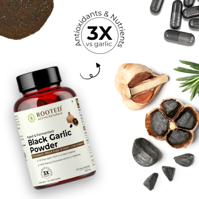 Rooted Active Naturals: Lions Mane mushroom Extract  ( 120 g) | Memory, Focus, Brain Powder & Nerve Health. USDA Organic, 38% Beta Glucans
