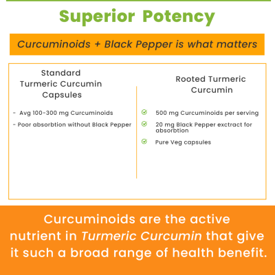 Rooted Active Naturals: Lions Mane mushroom Extract  ( 60 g) | Memory, Focus, Brain Powder & Nerve Health. USDA Organic, 38% Beta Glucans