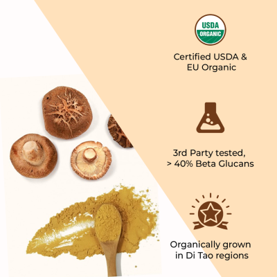Rooted Active Naturals: Shiitake mushroom Extract Powder (60 g) |Cholesterol, Heart health, Immunity. USDA Organic, 40% Beta Glucans