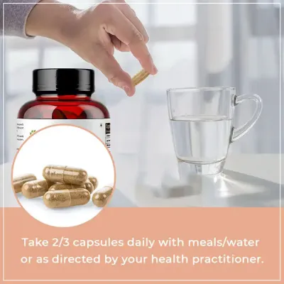 Rooted Active Naturals: Shiitake Mushroom 60 Capsules 650 mg | Supports Healthy Cholesterol & Helps BP Levels |Immunity, Heart, Skin & Hair Health & Weight Control