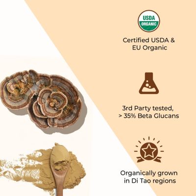 Rooted Active Naturals: Turkey Tail mushroom Extract Powder (60 g) | Gut Health, Liver, Immunity. USDA Organic, 35% Beta Glucans