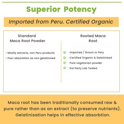 Rooted Active Naturals: Maca Root Extract powder (100 g) -Stamina, Virility, Hormonal support| Imported from Peru, Certified Organic, Gelatinised