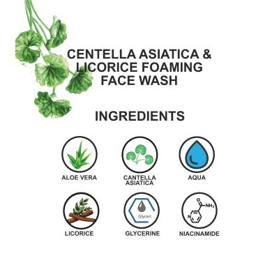 Love Earth: Centella Asiatica & Licorice Foaming Face Wash White