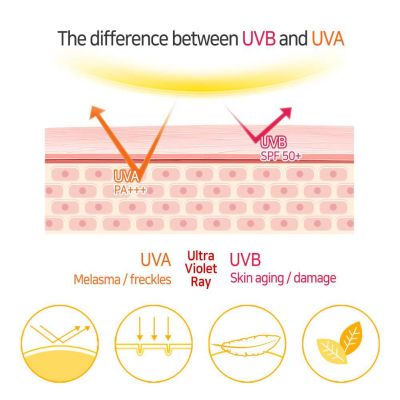 Elizavecca: Milky Piggy SUN Great Block Stick Spf 50+ PA+++