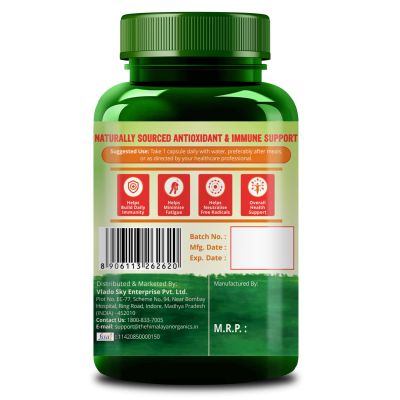 Vlado's Himalayan Organics: Plant Based Zinc with Vitamin C | Builds Immunity & Anti Inflammation || 120 Veg Capsules