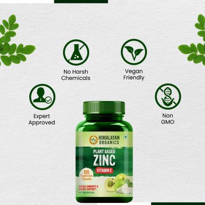 Vlado's Himalayan Organics: Plant Based Zinc with Vitamin C | Builds Immunity & Anti Inflammation || 120 Veg Capsules