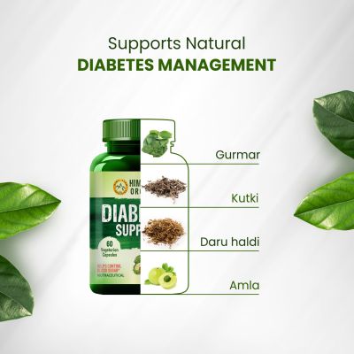 Vlado's Himalayan Organics: Diabetes Support Supplement | Helps Control Blood Sugar Levels | 100% Vegetarian (60 Capsules)