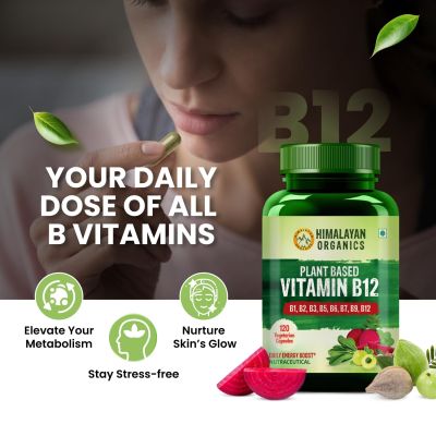 Vlado's Himalayan Organics: Plant Based Vitamin B12 Natural- 120 Veg Capsules