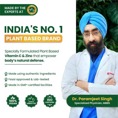 Vlado's Himalayan Organics: Plant Based Vitamin C with Zinc - 120 Veg Capsules