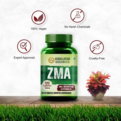 Vlado's Himalayan Organics: ZMA (Zinc, Magnesium Aspartate) Sports Recovery Supplement - 120 Veg Tablets