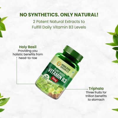 Vlado's Himalayan Organics: Plant-Based Vitamin B3 | Supports Healthy Skin and Heart 120 Capsules
