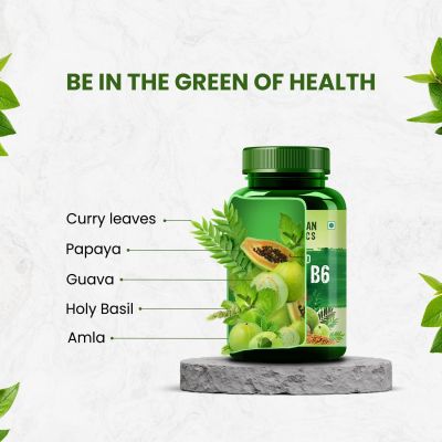 Vlado's Himalayan Organics: Plant-Based Vitamin B6 | Supports Immunity, Brain Health (120 Capsules)