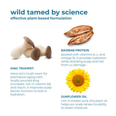 The Switch Fix: Magic Shrooms Conditioner Bar - 50g