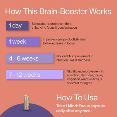 SETU: Mind Focus Capsules - 30 Caps (Pack of 3) L-Theanine, Brahmi & Ginkgo Biloba, Brain Booster - Helps Improve Focus, Alertness