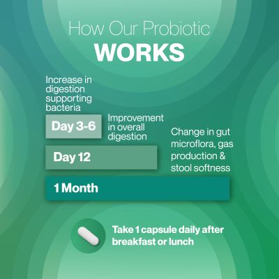 SETU: Tummy Probiotic - 30 Capsules (Pack of 3) | 9 strains with 20 Billion CFUs, Naturally Fermented Probiotics Lactobacillus & Bifidobacterium, Better Immunity, Gut Health, Reduced Gas