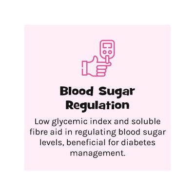 Nourish You: Organic Steel Cut Oats | 2kg Jar