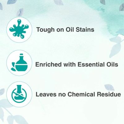 Beco: Natural Dishwash Liquid 500 ML, Pack of 2