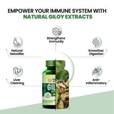 Vlado's Himalayan Organics: Giloy Extract | Immunity Booster | Helps in Blood Purification | 120 Veg Tablets