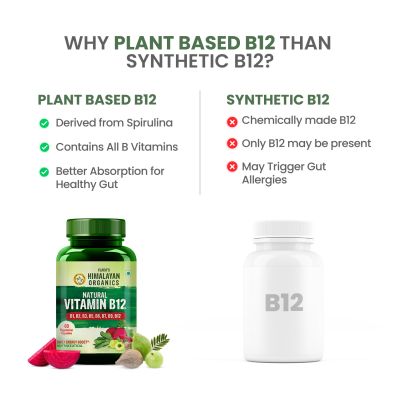 Vlado's Himalayan Organics: Plant Based Vitamin B12 Natural- 60 Veg Capsules