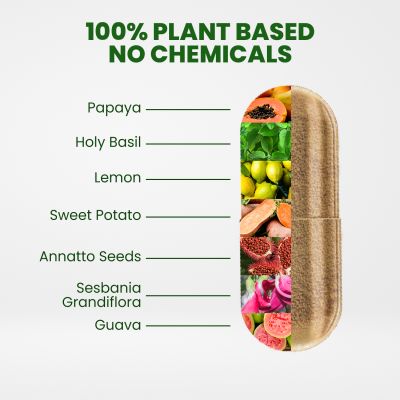 Vlado's Himalayan Organics: Plant Based Multivitamin with 60+ Extracts- 60 Vegetarian Capsules