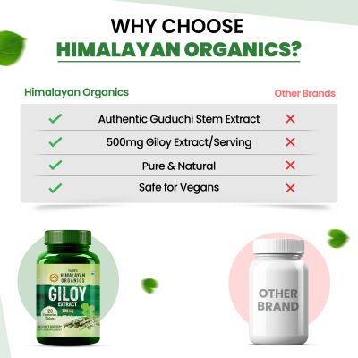 Vlado's Himalayan Organics: Giloy Extract | Immunity Booster | Helps in Blood Purification | 120 Veg Tablets