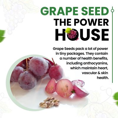 Vlado's Himalayan Organics: Grape Seed Extract 500mg/Serving for Healthy Cholesterol Level - 90 Veg Capsules