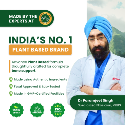 Vlado's Himalayan Organics: Vlado's Himalayan Organics Plant Based Calcium for Bone Health- 60 Vegetarian Tablet