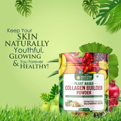 Vlado's Himalayan Organics: Plant Based Collagen Builder Powder for Skin Regeneration, Anti-Aging Beauty & Repair (with Sea Buckthorn,Evening Primrose, Acai Berry)  250gm