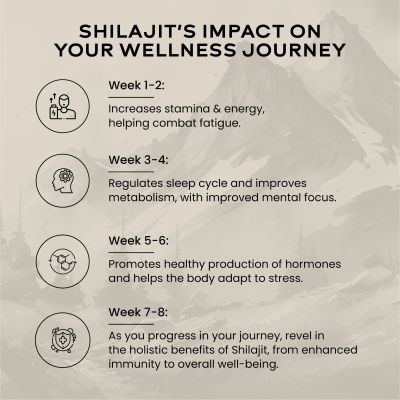 Wellbeing Nutrition: Pure Himalayan Shilajit Gold 10 gm for Strength, Stamina, Performance, Stress Relief and Vitality (24K Gold Leaf) | Lab Tested