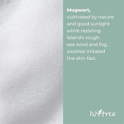 Isntree: Isntree Mugwort Calming Powder Wash (Pack Size:1g*25ea)