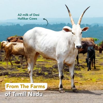 anveshan: A2 Desi Cow Ghee - 1L