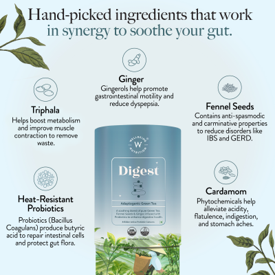 Wellbeing Nutrition: Digest Green Tea with 8B CFU, Ginger, Fennel Seeds - 40gm