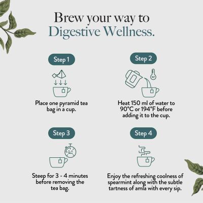 Wellbeing Nutrition: Digest Green Tea with 8B CFU, Ginger, Fennel Seeds - 40gm
