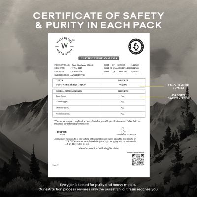 Wellbeing Nutrition: Pure & Original Himalayan Shilajit Resin 20g
