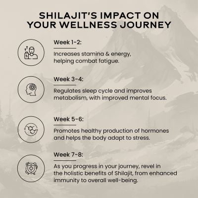 Wellbeing Nutrition: Pure & Original Himalayan Shilajit Resin 20g