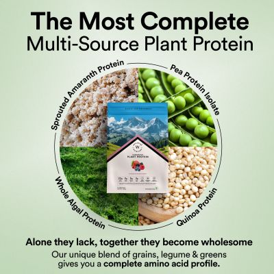 Wellbeing Nutrition: Organic Vegan Plant Protein Isolate Powder 22g Protein, 5g BCAA No Bloating Easy to Digest Antioxidants & Trace Minerals Canadian Mixed Berry - 500gm