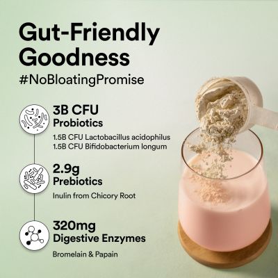 Wellbeing Nutrition: Organic Vegan Plant Protein Isolate Powder 22g Protein, 5g BCAA No Bloating Easy to Digest Antioxidants & Trace Minerals Canadian Mixed Berry - 500gm