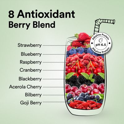 Wellbeing Nutrition: Organic Vegan Plant Protein Isolate Powder 22g Protein, 5g BCAA No Bloating Easy to Digest Antioxidants & Trace Minerals Canadian Mixed Berry - 500gm