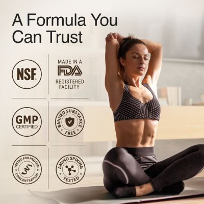 Wellbeing Nutrition: Whey Protein Isolate + Concentrate (Swiss Chocolate) 213g Pack of 6 24g Protein, 11.5g EAA, 1g Glutamine Clinically Proven 2x Muscle Protein Synthesis 4B CFU Probiotics & Digestive Enzymes