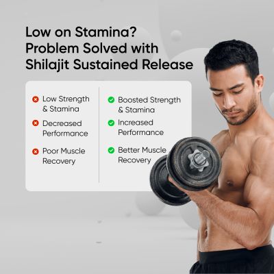 Panchamrit: 8 hrs Sustained Release Capsule 500mg Himalayan Shilajit+ with Gremin® Extract Daily Energy Boost, Faster Muscle Recovery  60 caps