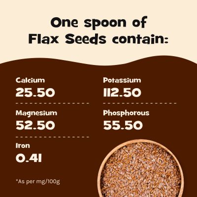 Nourish You: Organic Raw Flax Seeds- Gluten free & Protein rich , Healthy Snacks - 250g